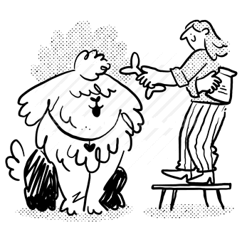 food, dog, animal, pet, woman, big, stool